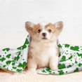 thumbnail image 4 of Naloa St Patrick's Day4 Dog Blanket, 3 Sizes Cat Blanket for Indoor Cats Large Medium Small Dog Gifts-Large, 4 of 8