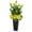 YELLOW, variant on Nearly Natural Peony Artificial Arrangement in Black Vase