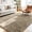 Grey Camel, variant on 4x6 Area Rug for Living Room, Ultra Soft Fluffy Grey Camel Rugs for Bedroom, Non Slip Large Shag Carpet, Fuzzy Plush Nursery Rug, Thick Washable Indoor Floor Carpets for Kids Office Dorm Home Decor