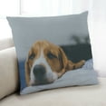 thumbnail image 1 of Ahgly Company Dogs Beagle Coussin d'Intérieur, 18 Pouces par 18 Pouces, 1 of 6