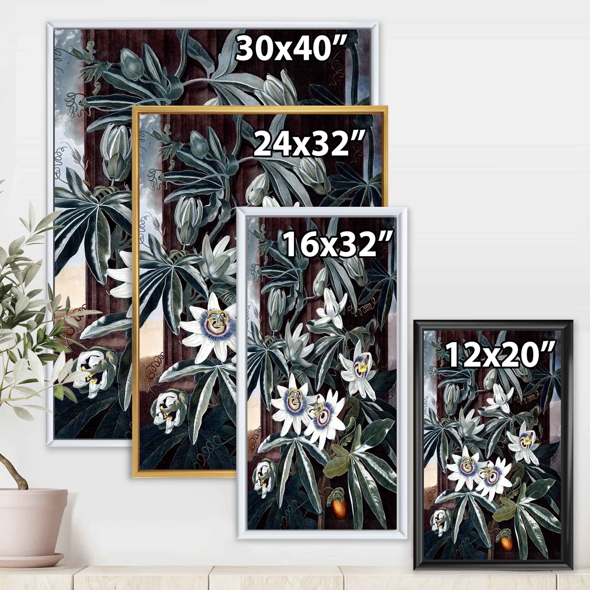 Designart 'Ancient Flowers I' Traditional Framed Canvas Wall Art Print