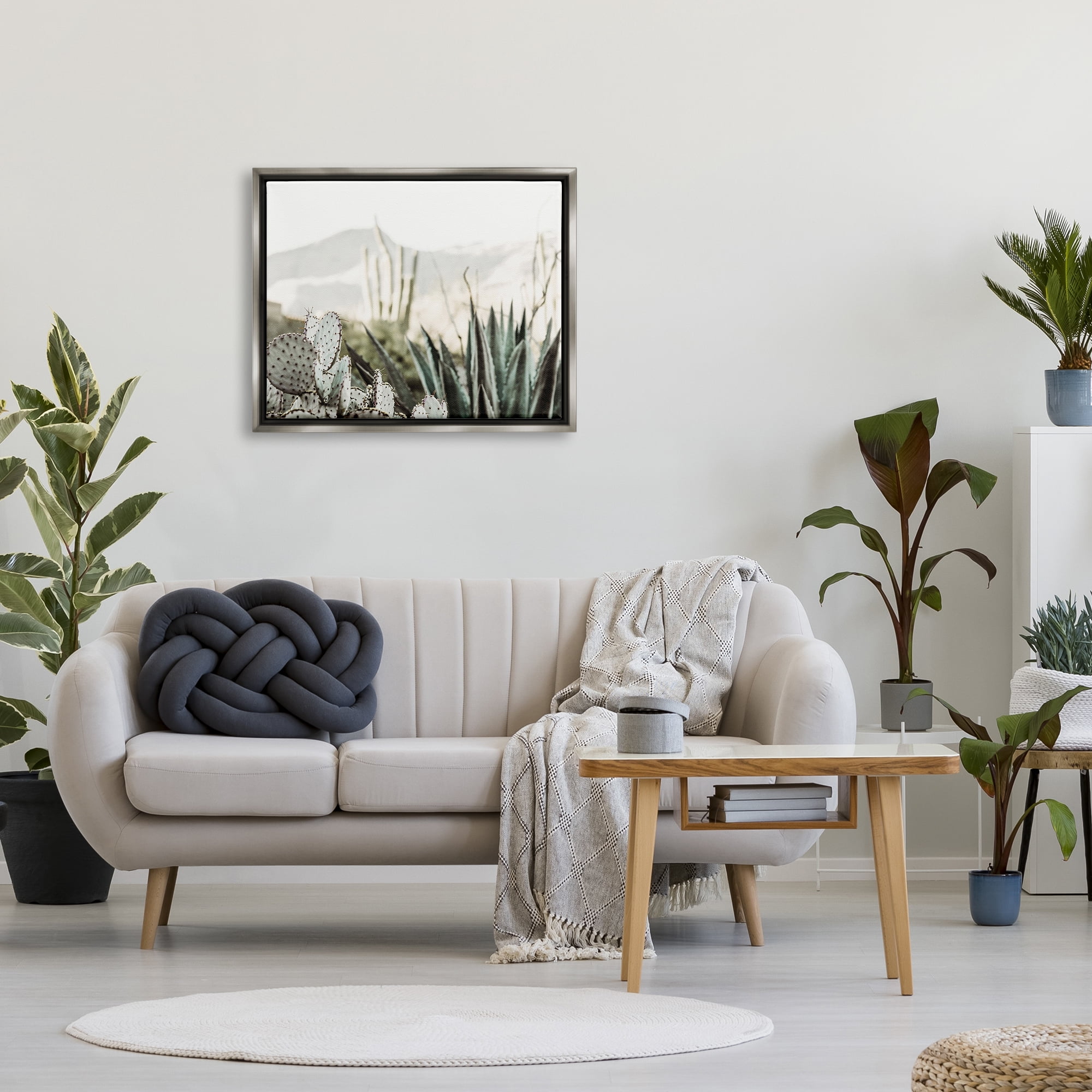 Stupell Industries Desert Cacti Photography Landscape Photography Gray Floater Framed Canvas Art Print Wall Art, 31 x 25