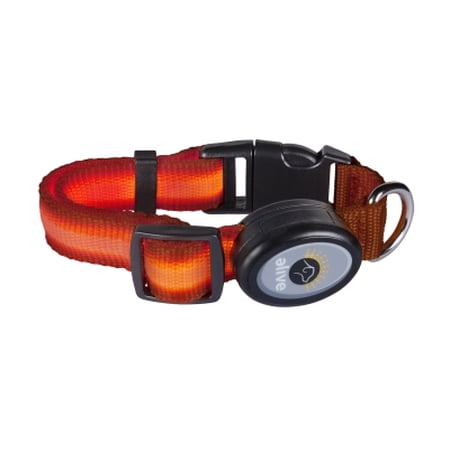 LED DOG COLLAR SM MD ORANGE - Walmart.com - Walmart.com