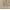 Ivory, variant on Mark&Day Area Rugs, 2x3 Vilonia Traditional Ivory Area Rug (2' x 3')
