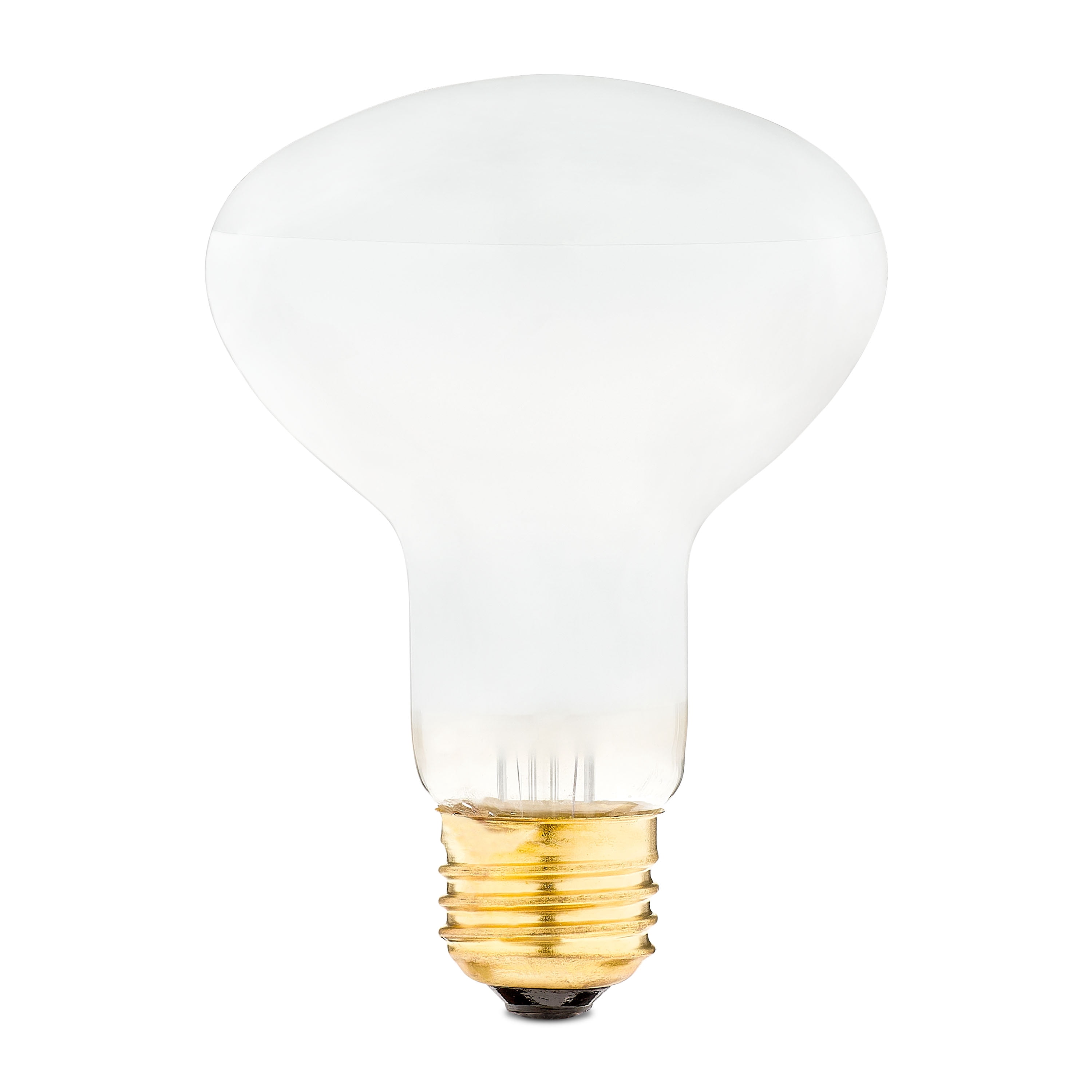 Vibrant Life Basking Bulb for Reptiles, 100 Watts, Terrarium Habitat Lighting