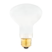 Vibrant Life Basking Bulb for Reptiles, 100 Watts, Terrarium Habitat Lighting