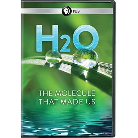 H2O: The Molecule That Made Us
