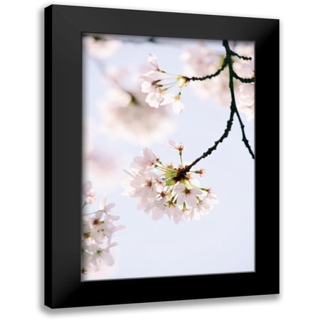 Okula, Carina 11x14 Black Modern Framed Museum Art Print Titled - Paris Petals