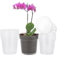 thumbnail image 1 of 10 uds Maceta transparente TUNC Maceta de plástico pequeña para orquídeas Sencillez, 1 of 5