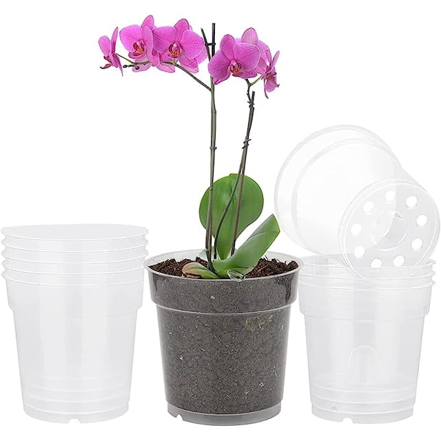 10 uds Maceta transparente TUNC Maceta de plástico pequeña para orquídeas Sencillez