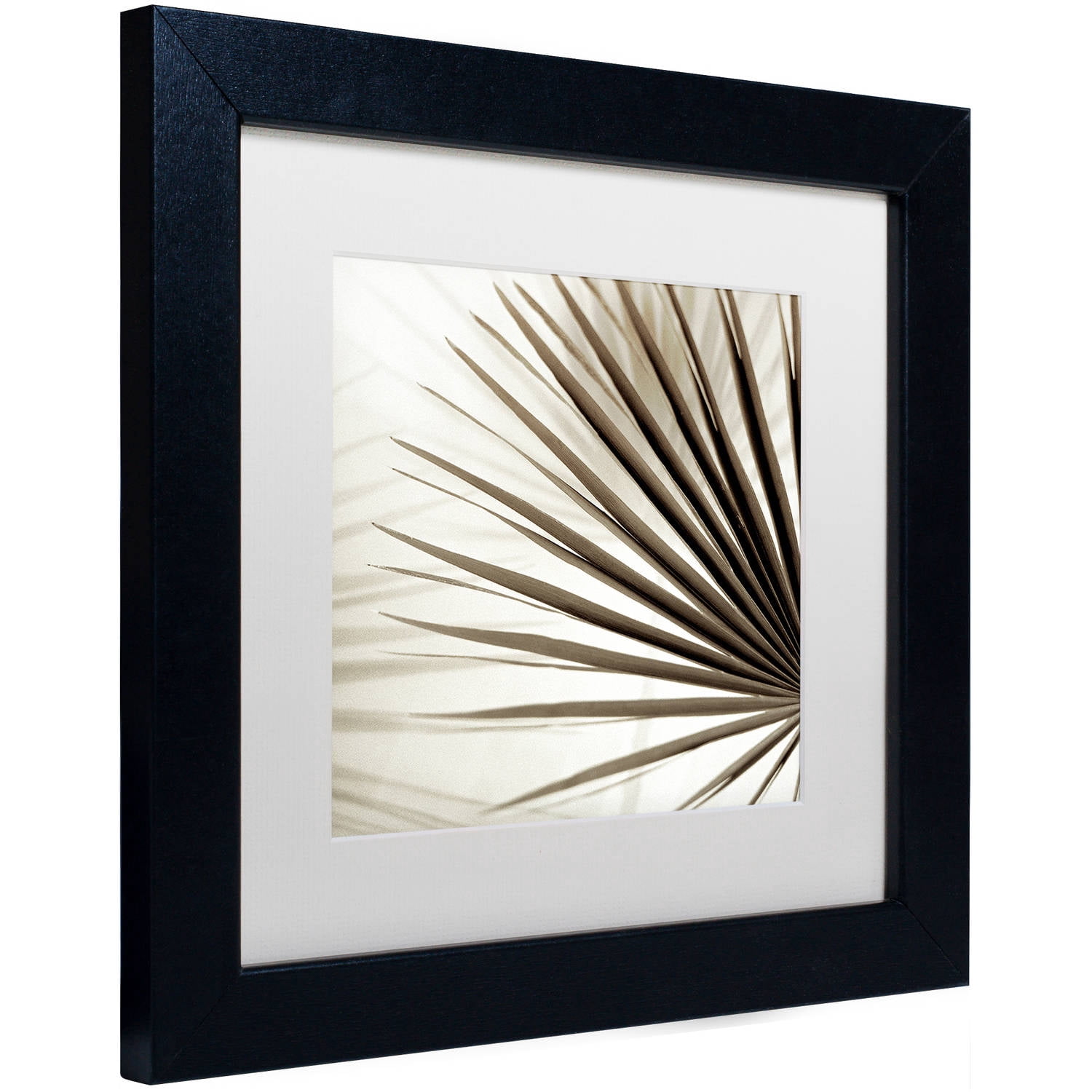 Trademark Fine Art "Florison 66" Canvas Art by Alan Blaustein, White Matte, Black Frame