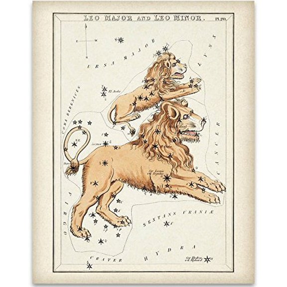 Antique Zodiac Leo Constellation Plate - 11x14 Unframed Art Print - Great Home Decor or Gift to Astrology Enthusiasts