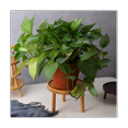 thumbnail image 4 of Wooden Plant Holder Stool Small Round Table for Potted Plant Fish Tank Indoor Plant Pot Display Stand 2Pcs, 4 of 6