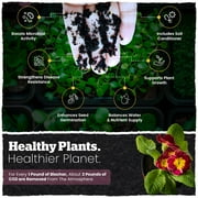 Wakefield Biochar Biochar Blend with CarbonBoost for House Plants - Indoor Soil - 4 Quart