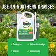 thumbnail image 3 of Roundup For Lawns₁ Ready-To-Use with Extend Wand, Tough Weed Killer for Use on Northern Grasses, 1.33 gal., 3 of 9