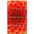 thumbnail image 2 of Design Floral Abstrait Orange - Impression sur Toile Florale, 2 of 3