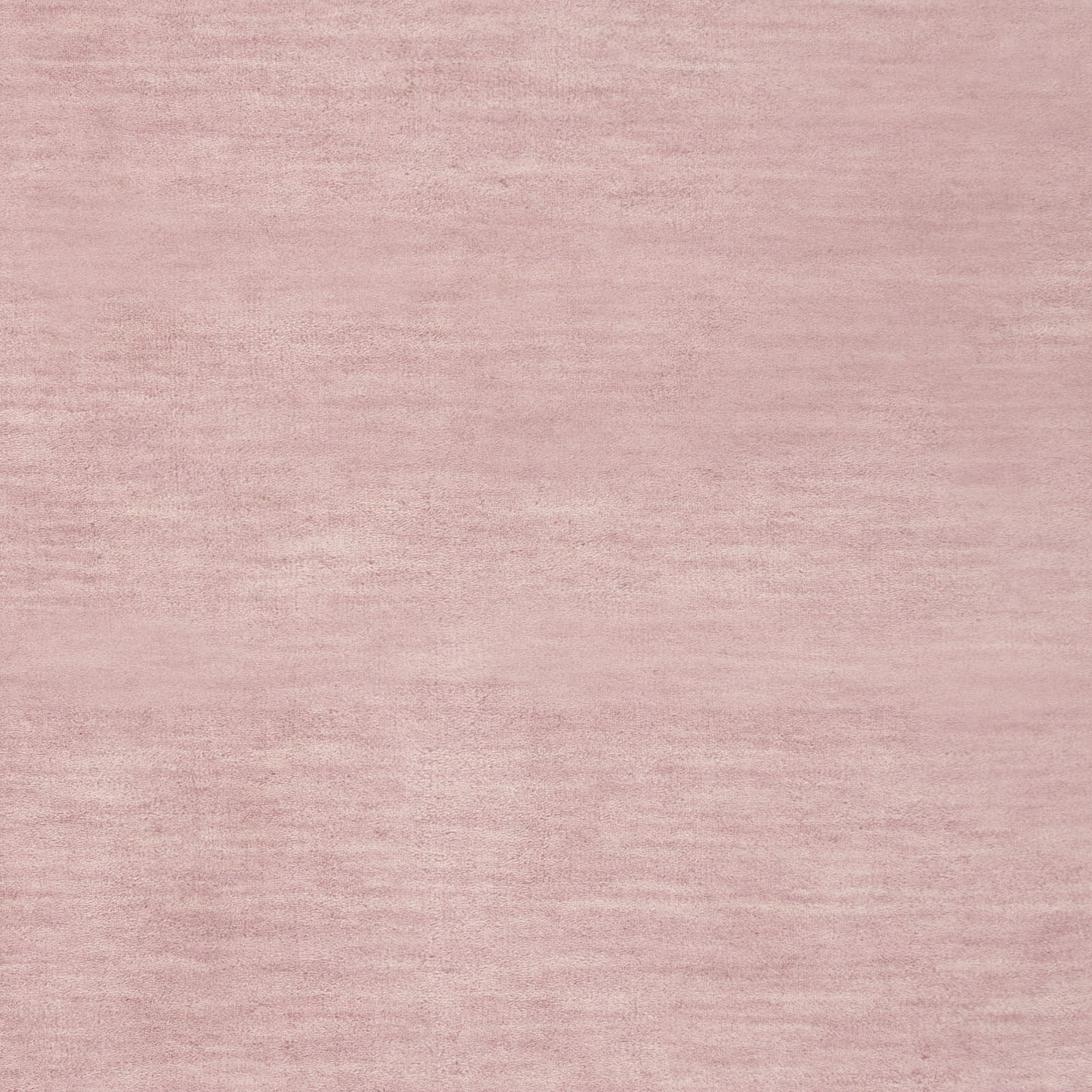 Safavieh Kids Fiona Solid Bordered Area Rug or Runner