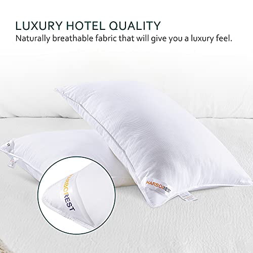 20 x 26 Inches HARBOREST Bed Pillows for Sleeping 2 Pack Luxury Plush Down Alternative Pillows Standard Size Pillows Hotel Collection Pillows 