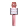 Eccomum Professional BT Wireless Microphone Karaoke Speaker KTV Music Player Singing Recorder Handheld Microphone Rose Gold