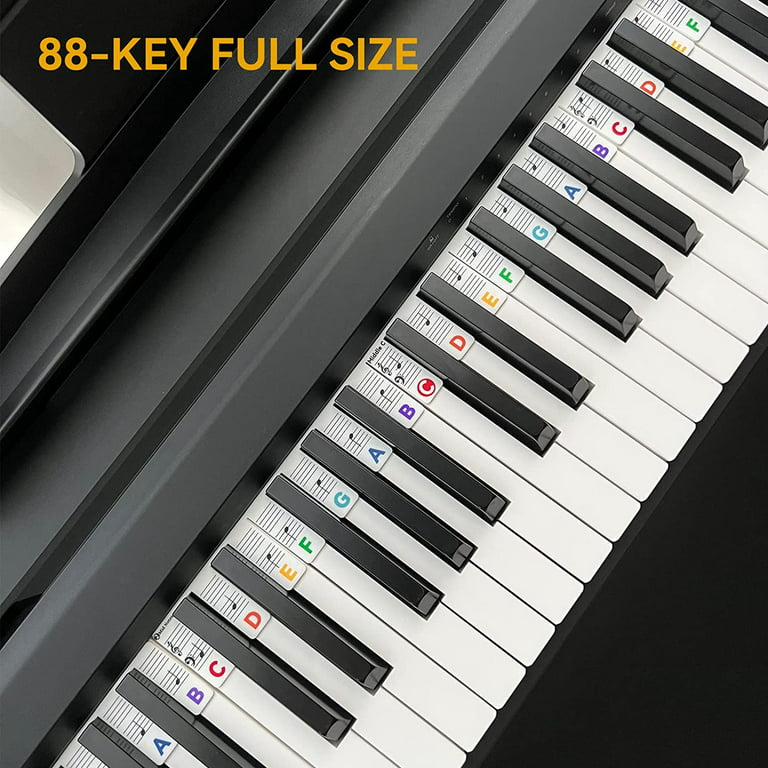 Piano Notes Guide for Beginner, Removable Piano Keyboard Note  Labels for Learning, 88-Key Full Size, Made of Silicone, No Need Stickers,  Reusable and Comes with Box, Colorful : Musical Instruments