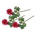 thumbnail image 1 of DII Flower Peony Dark Pink (Set of 3), 1 of 1