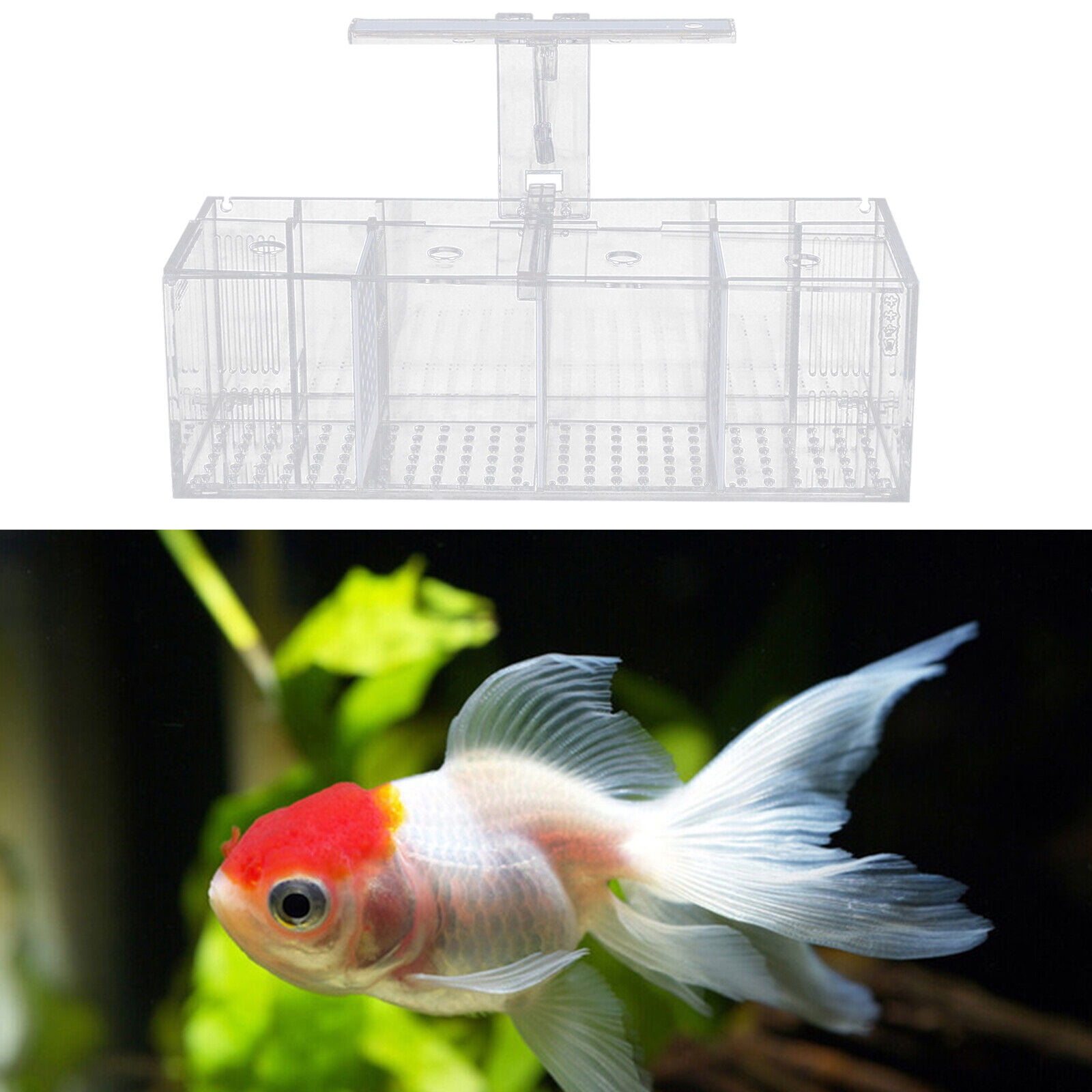Acrylic Aquarium Transparent Isolation 4Grid Betta Fish Tank Water Pump+LED Lamp