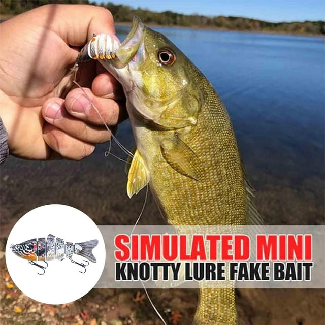 Riforla Hameçon Poisson 3D Forme de Poisson Réaliste Fournitures de Pêche pour Lac Rivière pour Passionnés de Pêche Débutants Pêche N