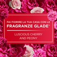thumbnail image 2 of Glade Automatic Refill Luscious Cherry and Peony 175g (Pack of 6), 2 of 4