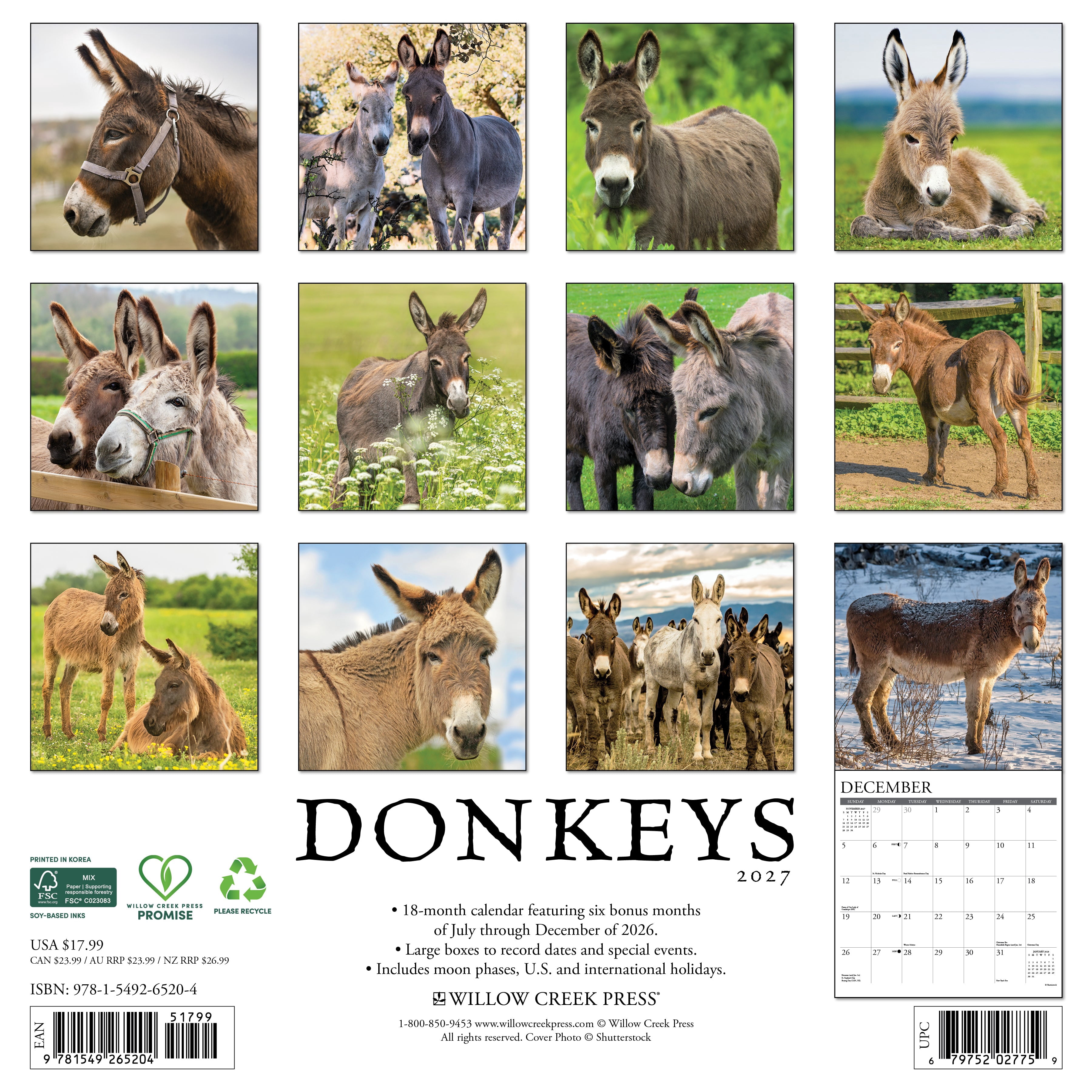 Willow Creek Press, Donkeys 2027 Wall Calendar