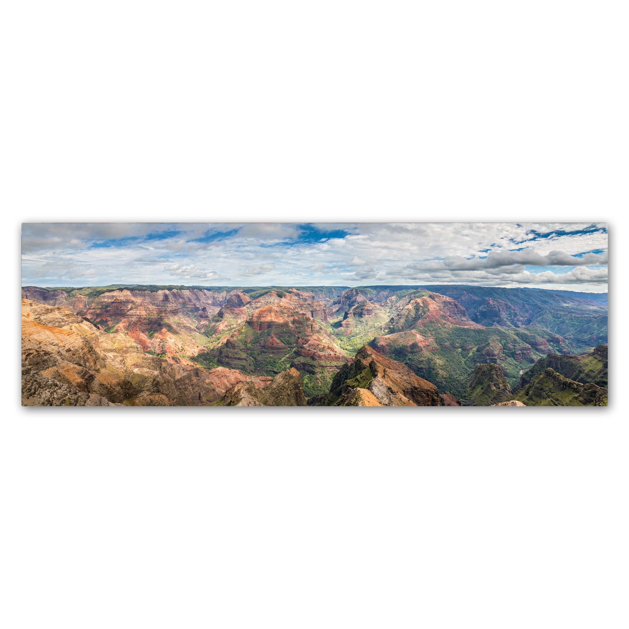 Trademark Fine Art 'Waimea Canyon Panorama' Canvas Art by Pierre Leclerc