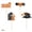 Orange-OR Home Decor, variant on JJV 24 Pcs Graduation Cupcake Toppers 2026 Grad Party Decoration with Wooden Toothpicks, Glitter Diploma Cap DIY Cupcake Toppers for Dessert Sandwich and Cheese Decoration