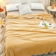 thumbnail image 4 of Manta de Cama de Fleece para Aire Acondicionado - Cubierta Cómoda y Suave, Manta de cama individual de felpa coral adecuada para todas las estaciones, manta ligera de aire acondicionado, manta o ester, 4 of 8