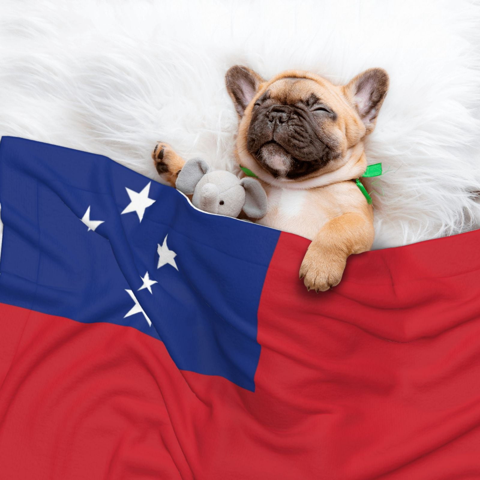 Flannel Throw Dog Blanket Samoan Flag Soft Warm Print Pet Blankets for Small Dog Cat Puppy