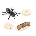 thumbnail image 4 of 1 Set Ant Toys Realistic Growth Educational Insect Model Plaything Display Model Interesting Educational Plaything Small Animal Props Ants Models for Display Play, 4 of 9