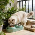 thumbnail image 7 of Pet Bowls Dog Bowls Cat Bowls Stainless Steel Double Bowl 10 Degree Tilted Neck Protection Non Tip Food and Water Integrated Feeder for Kittens Cats Dogs Indoor by PALIFEUR, 7 of 7