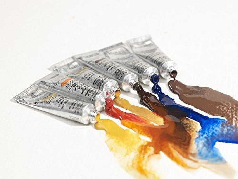 Winsor & Newton Professional Watercolors, Travel Tin Set, 5ml Tubes, Set of 12