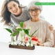 thumbnail image 4 of Plants Propagation Stations Glass Vase Station Retro Plant Terrarium with Wooden Tray Bulb Flower Vase Home Office Decor, 4 of 5