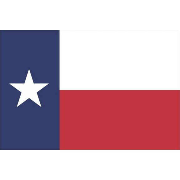 6in x 4in Texas State Flag Magnet