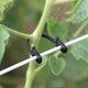 thumbnail image 1 of Vine And Garden Plant Clips 200 Pack, 1 of 5