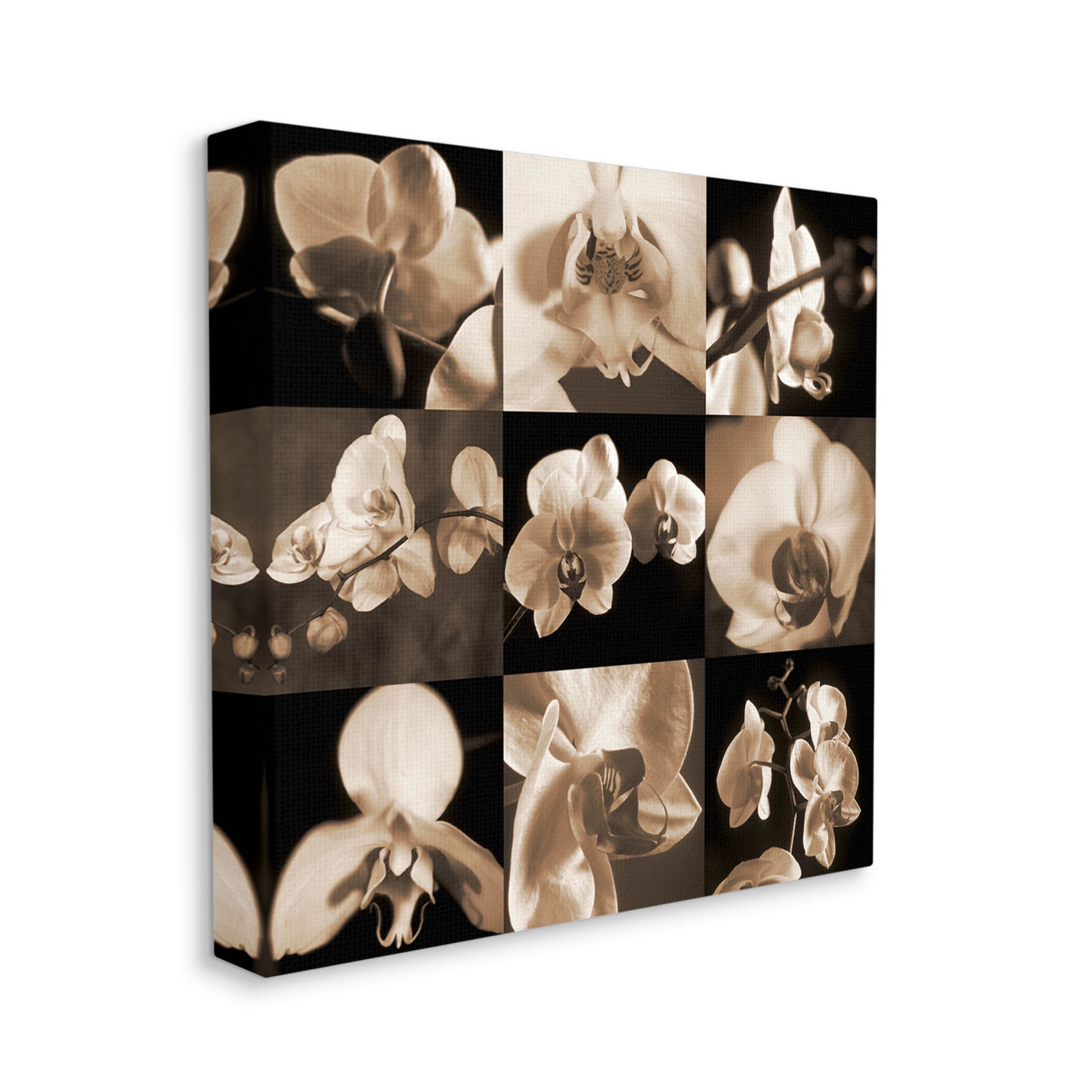 Sepia Orchid Varied Photography Botanical & Floral Photograph Gallery Wrapped Canvas Print Wall Art