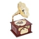 thumbnail image 5 of Vintage Gramófono Forma Caja De Música Drive Clockwork Drive Antigüedad Fonógrafo Cabeza De Música Música Figuras De Escritorio De Inicio Decoración De Escritorio, 5 of 7
