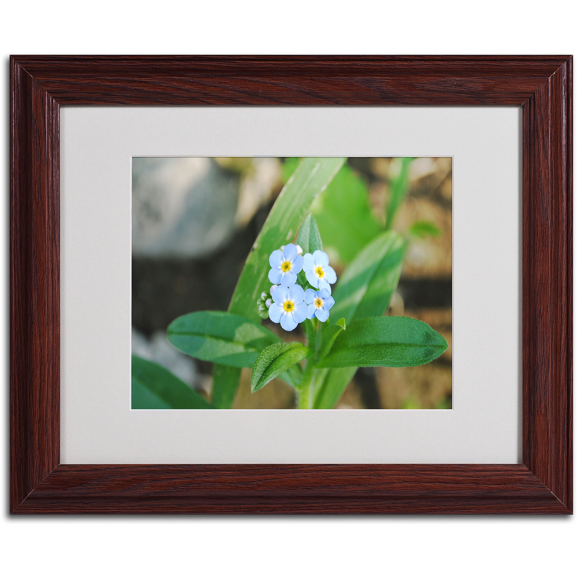 Trademark Fine Art "Dignified Characteristic" by Monica Fleet, Wood Frame