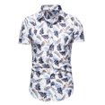 thumbnail image 1 of Hombres Casual Botones Playa Sin posicionamiento Estampado Turndown Camisa de manga corta Blusa Pompotops  oipoqjl48122, 1 of 7