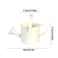 thumbnail image 3 of Fareti Small Watering Can, Flower Garden Watering Can, Gardening Tool Accessories for Outdoor Indoor Plants Lawn, 3 of 4