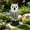 White version, variant on PLPPYFS Lifelike Owl Decoys to Scare Birds Away Plastic Owl Statue Scarecrows Nature Enemy Scarecrow Statues – Realistic Deterrent for Critters & Squirrels - Garden, Patio, Boats, and Yard Decor