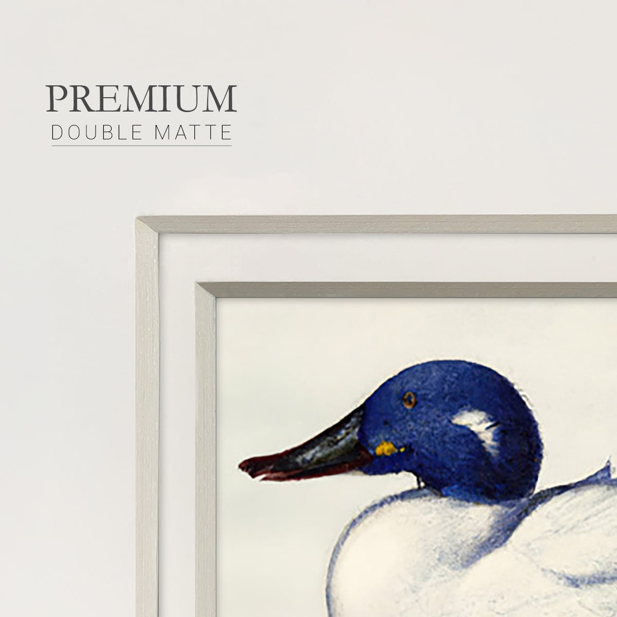 White and Blue MallardPremium Framed Print