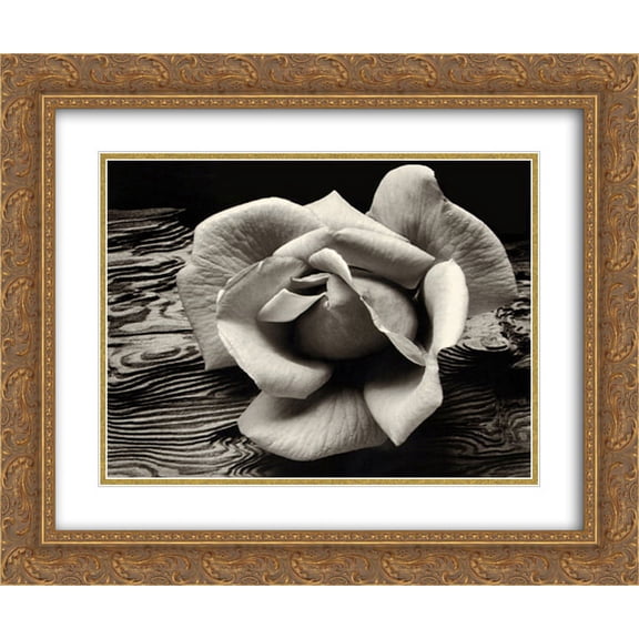 Rose and Driftwood 2x Matted 24x20 Gold Ornate Framed Art Print by Ansel Adams