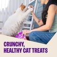 thumbnail image 2 of Wellness Kittles Crunchy Cat Treats, All Lifestages, Kitten to Senior, Natural, Grain Free, Tuna and Cranberry Flavor, 2 oz Bag, 2 of 7