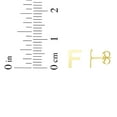 thumbnail image 3 of Floreo 14k Yellow Gold 6.5mm High Polish Initial-F Stud Earrings, 3 of 5