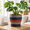 Rainbow-8 Inch, variant on Ceramic Plant Pots 10 Inch Ceraimc Planters Indoor Rainbow